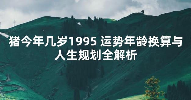 猪今年几岁1995 运势年龄换算与人生规划全解析